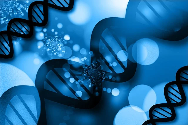 開孔劑Y-1900替代助劑，是實現聚氨酯泡沫高透氣、低收縮性能的核心技術改性方案